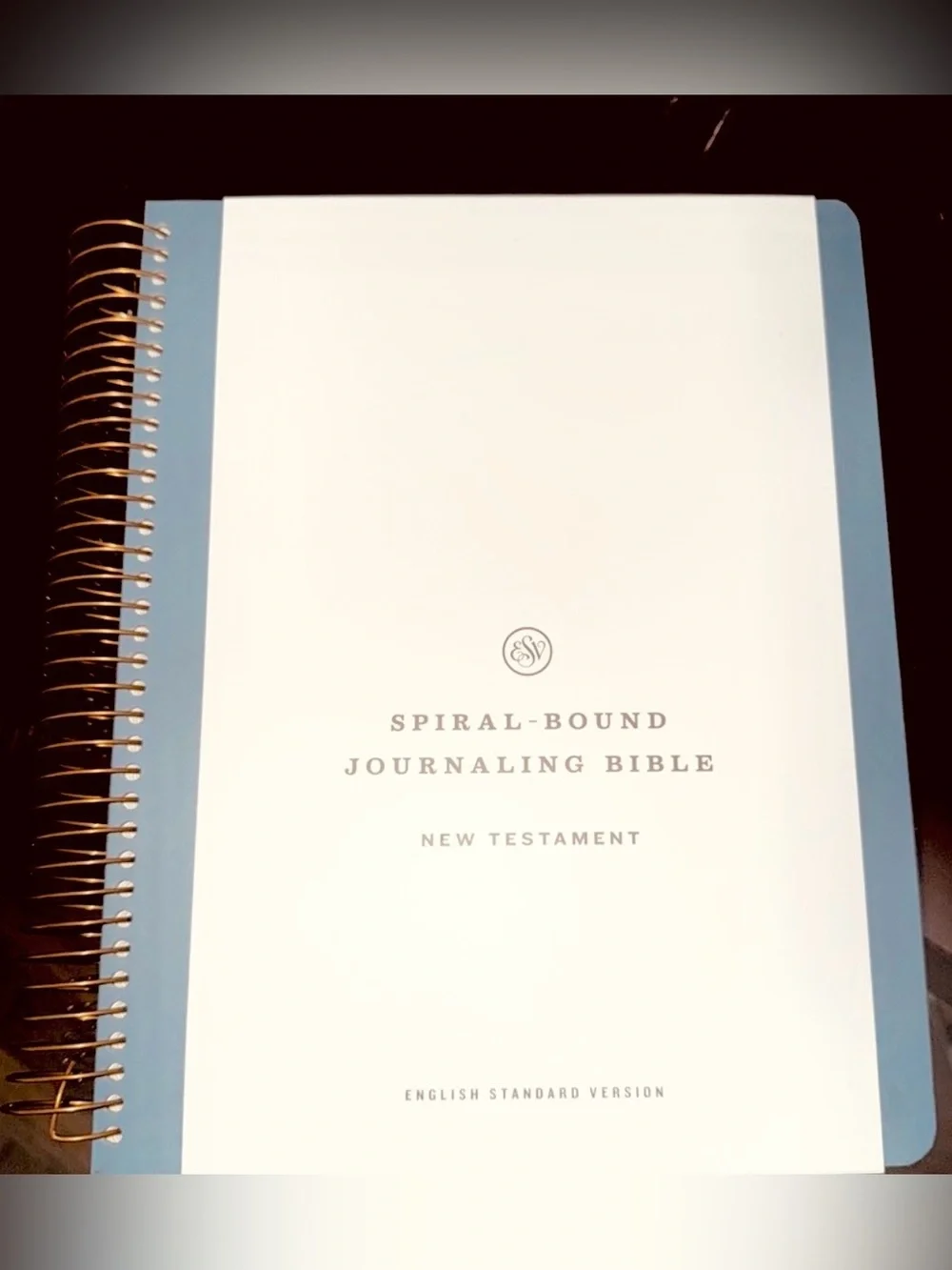 ESV Spiral-Bound Journaling Bible, New Testament (Hardcover): Holy Bible
